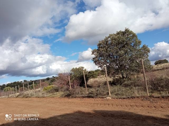 imagen 1 de Venta de parcela con proyecto para nave ganadera en Golmayo