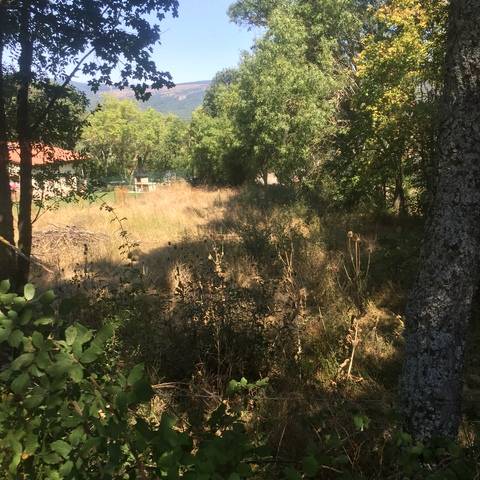 imagen 1 de Venta de finca urbana en Aldehuela del Rincón