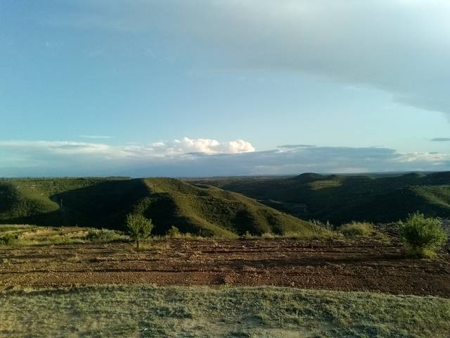 imagen 1 de Venta de finca en La Pobla de Massaluca