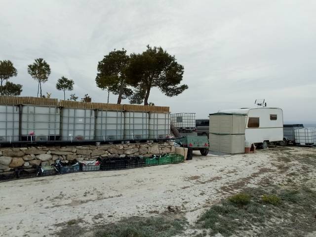 imagen 1 de Venta de finca en La Pobla de Massaluca