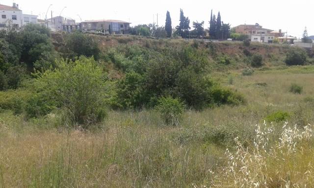 imagen 1 de Venta de finca con buena ubicación en La Bisbal del Penedés