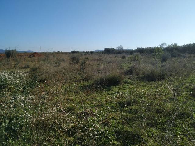 imagen 1 de Venta de finca en Brafim (Tarragona)