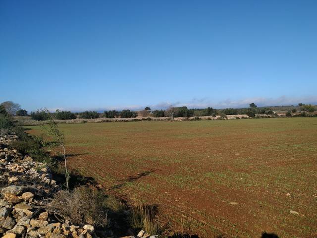imagen 1 de Venta de finca en Alio (Tarragona)