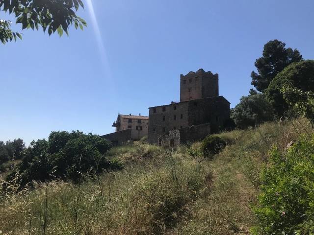 imagen 1 de Venta de finca con Masía y varias construcciones