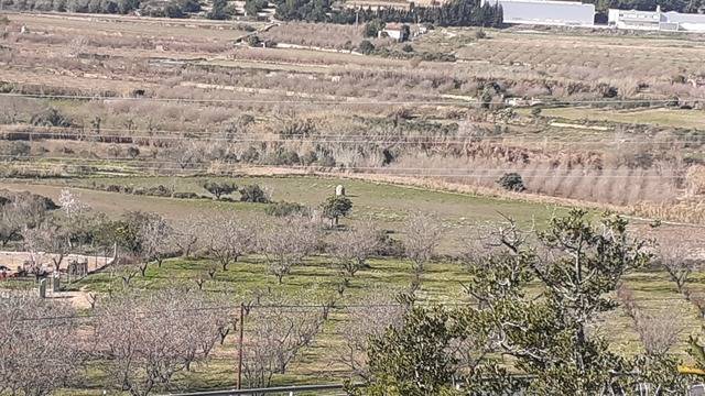 imagen 1 de Venta de finca con almendros, olivo y algarrobos en Tarragona