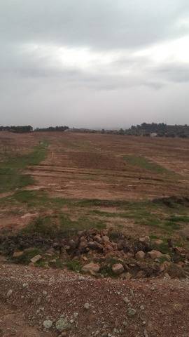 imagen 1 de Venta de finca de almendros en Flix (Tarragona)