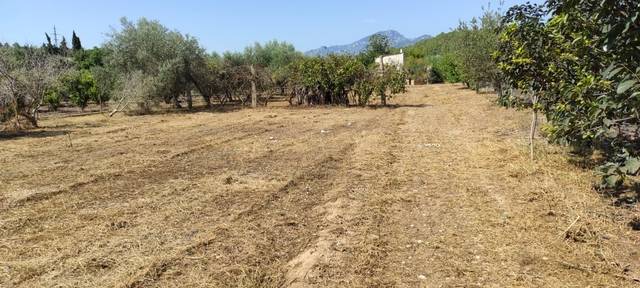 imagen 1 de Venta de finca con almacén en Andover