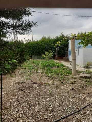 imagen 1 de Venta de olivar en La sénia (Tarragona)