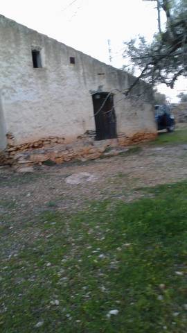 imagen 1 de Venta de finca rústica de olivos con caseta en L´Ampolla (Tarragona)