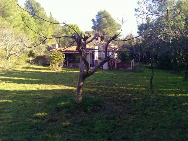 imagen 1 de Venta de terreno urbano en Les Masies de Torrent (Tarragona)