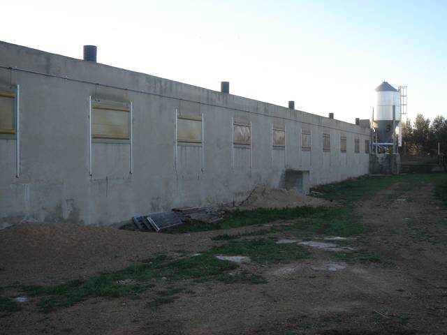 imagen 1 de Venta de granja de porcino en La Senia