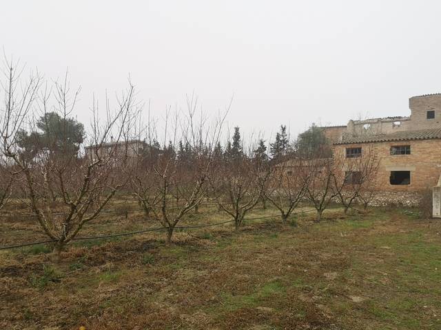 imagen 1 de Terreno con construcción en Mora d´Ebre (Tarragona)