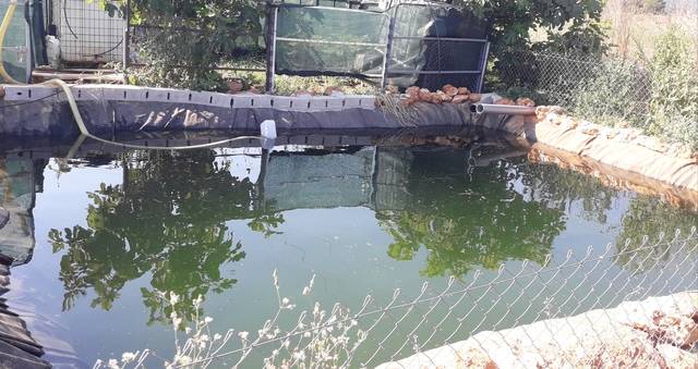 imagen 1 de Venta de finca de higos en Ulldecona (Tarragona)