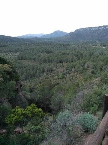imagen 1 de Venta de finca en Mont Roig del Camp
