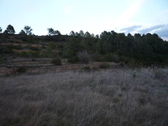 imagen 1 de Venta de finca rústica en Gandesa
