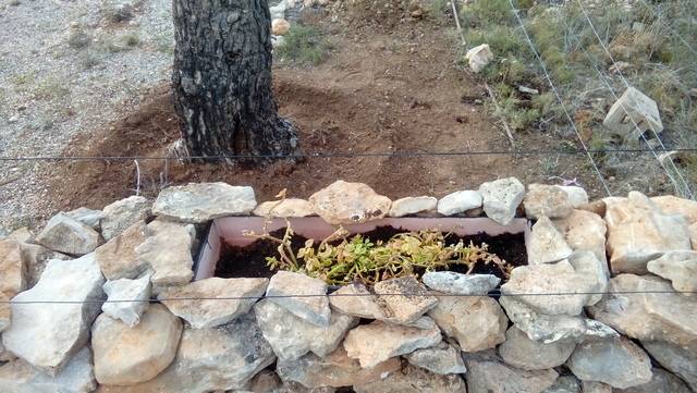 imagen 1 de Venta de finca para amantes de la naturaleza en Tarragona