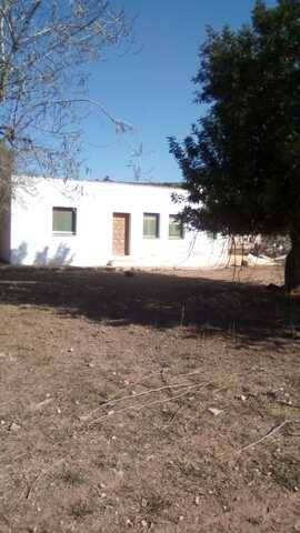 imagen 1 de Venta de finca de mandarinos, nave y casa en Ulldecona