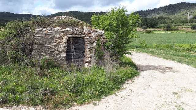 imagen 1 de Venta de finca rústica en Albinyana con olivos y algarrobos