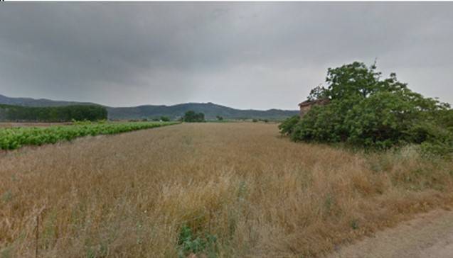 imagen 1 de Venta de finca de regadío en Ulldecona
