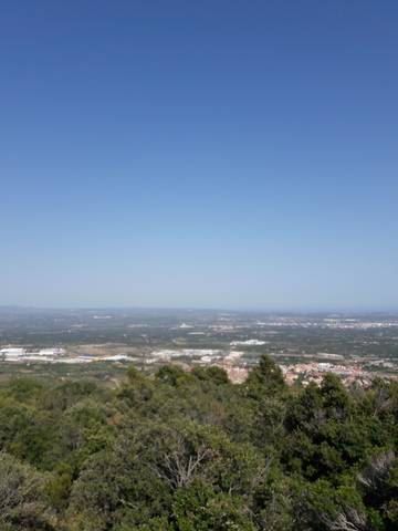 imagen 1 de Venta de finca en La selva del Camp (Tarragona)