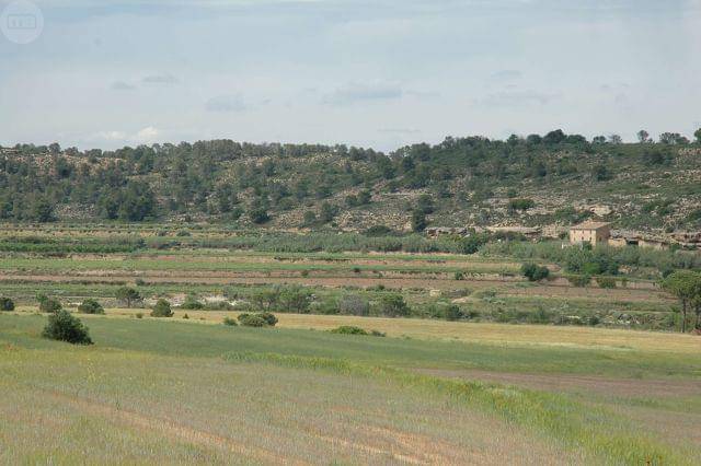 imagen 1 de Venta de preciosa masía para invertir en Batea