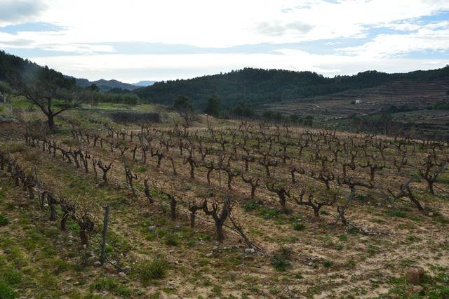 imagen 1 de vVenta de finca rústica de regadío en La Vilella Baixa