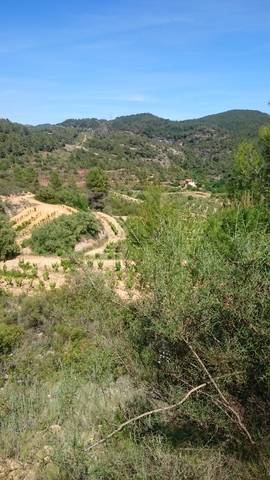 imagen 1 de Venta de terreno rústico en El Masroig (Tarragona)