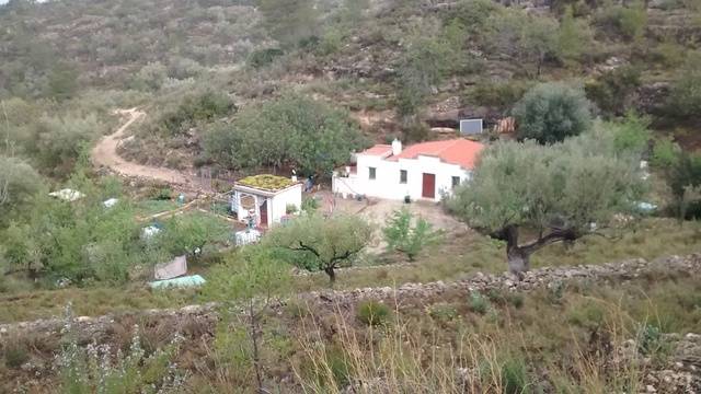 imagen 1 de Venta de finca ideal para vida simple y tranquila en Tortosa
