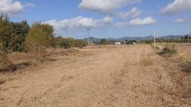 imagen 1 de Venta de finca de recreo en Riudoms (Tarragona)