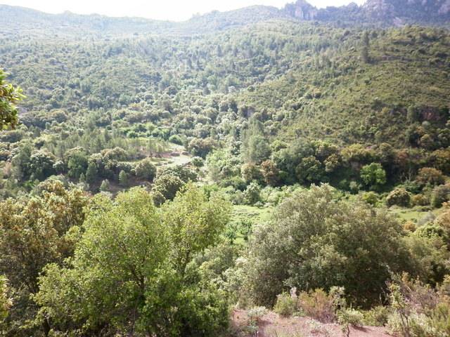 imagen 1 de Venta de bonita finca en Alfara de Carles (Tarragona)
