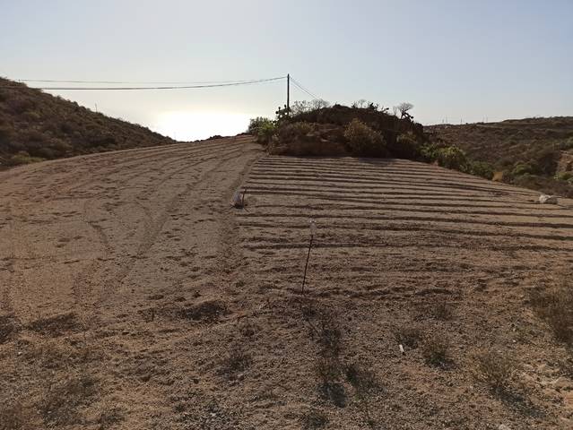 imagen 1 de Venta de terreno rústico en Fasnia (Tenerife)