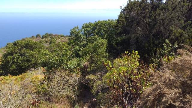 imagen 1 de Venta de terreno con bonitas vistas en Garachico (Tenerife)