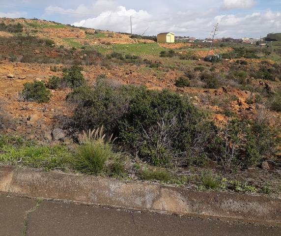 imagen 1 de Venta de finca rústica en La Esperanza (Tenerife)