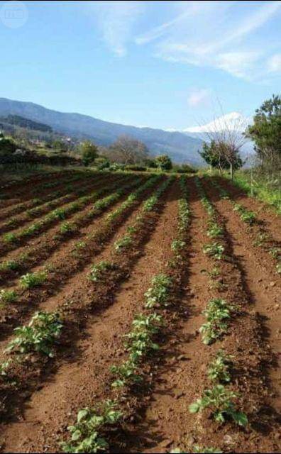 imagen 1 de Venta de terreno rústico en Ravelo