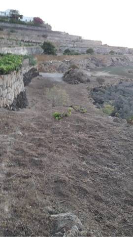 imagen 1 de Finca rústica bien comunicada en Güímar (Tenerife)