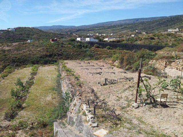 imagen 1 de Venta de terreno edificable con viñas y cueva en Güímar (Tenerife)