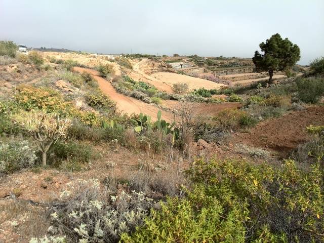 imagen 1 de Venta de finca rústica en Arico con vistas al mar y la montaña (Tenerife)