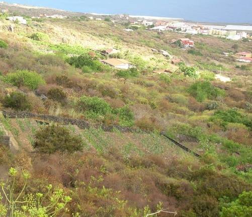 imagen 1 de Venta de finca con muchas posibilidades en Frontera (Tenerife)