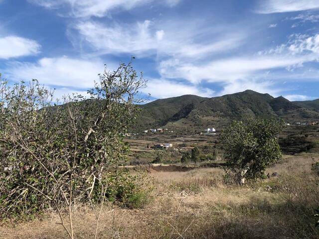 imagen 1 de Venta de finca rústica ideal para plantar viñedo en Buenavista del Norte