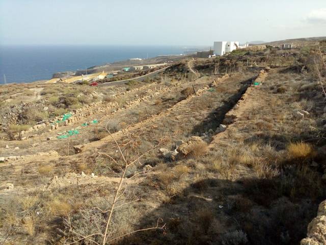 imagen 1 de Venta de finca rústica en Güímar