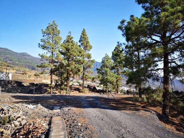 imagen 1 de Venta de finca con bonitas vistas en Arafo  (Tenerife)