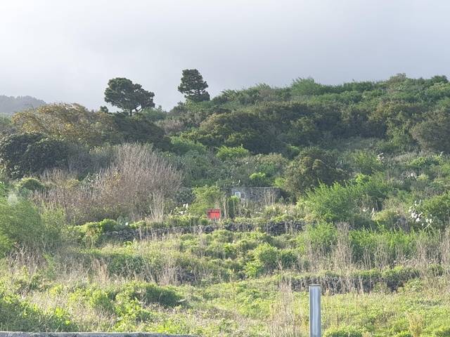 imagen 1 de Venta de terreno en Mazo (Tenerife)