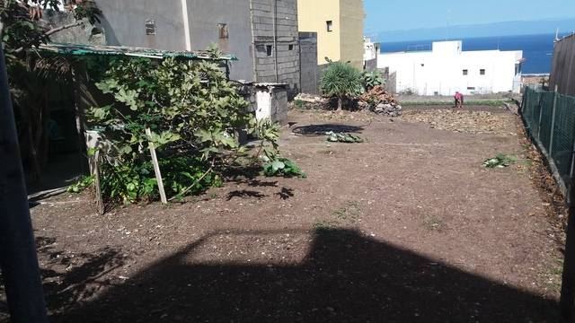 imagen 1 de Venta de parcela para construir o plantar en Punta del Hidalgo