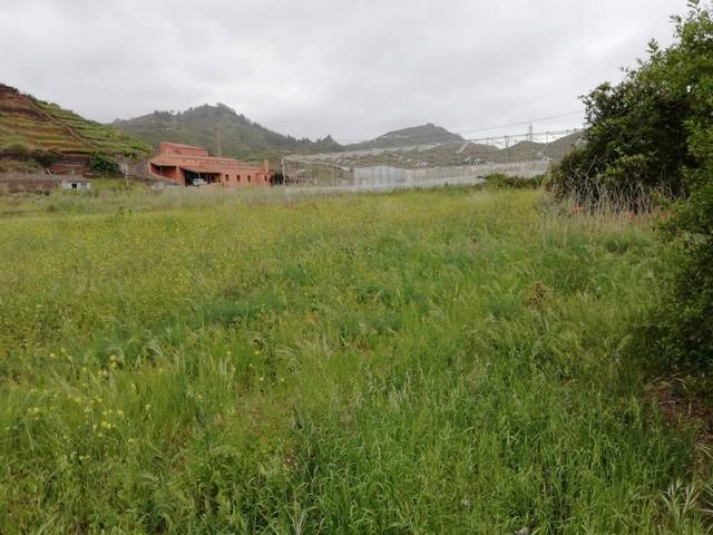 imagen 1 de Venta de bonita finca en Tegueste (Tenerife)