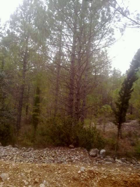 imagen 1 de Venta de finca en Beceite (Teruel)