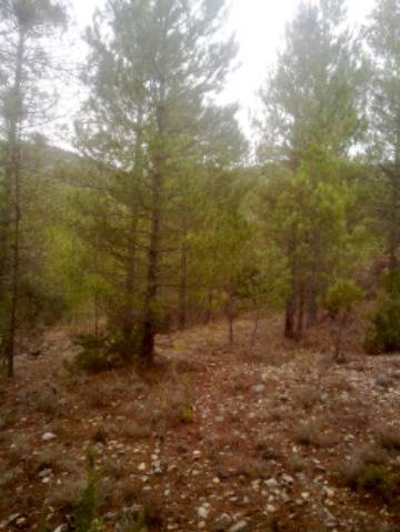 imagen 1 de Venta de finca en Beceite (Teruel)