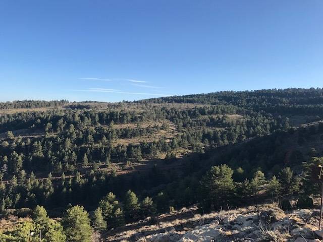 imagen 1 de Venta de finca con masía en Linares de Mora (Teruel)