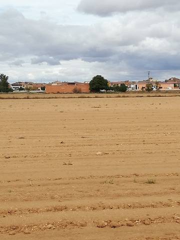 imagen 1 de Venta de finca con nave en Villarquemado (Teruel)