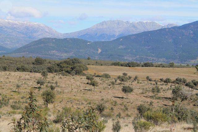 imagen 1 de Venta de finca con permiso de edificación en Parrillas (Toledo)