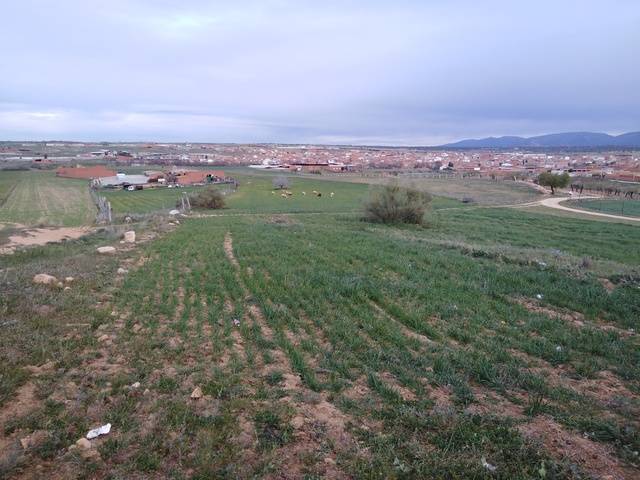 imagen 1 de Venta de finca de secano en Menasalbas (Toledo)